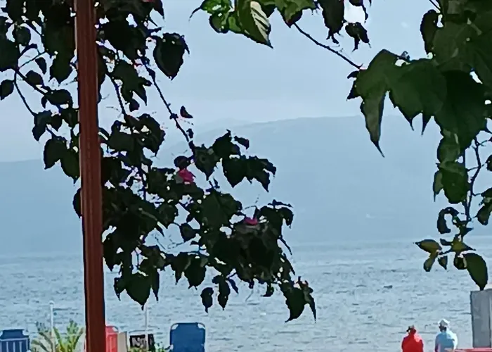 Sofia Beach Apartments